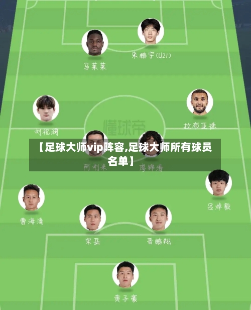 【足球大师vip阵容,足球大师所有球员名单】-第2张图片