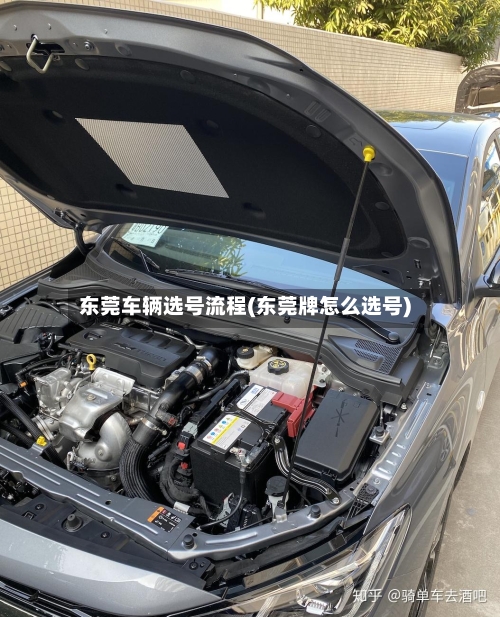 东莞车辆选号流程(东莞牌怎么选号)-第2张图片