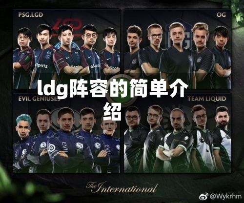 ldg阵容的简单介绍