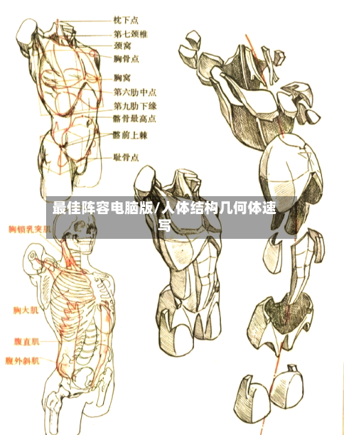 最佳阵容电脑版/人体结构几何体速写-第2张图片