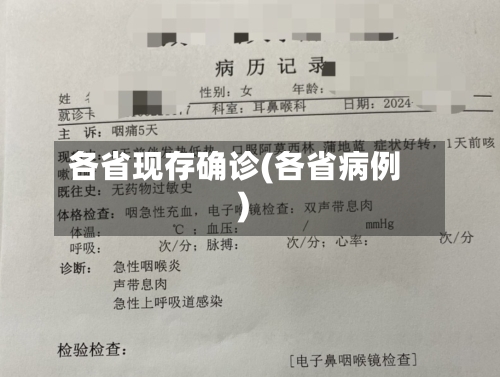 各省现存确诊(各省病例)-第2张图片