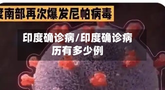 印度确诊病/印度确诊病历有多少例
