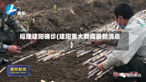 福建建阳确诊(建阳重大新闻最新消息)