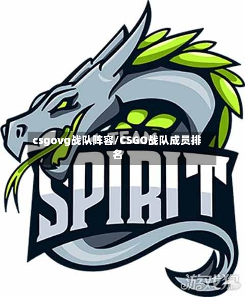 csgovg战队阵容/CSGO战队成员排名