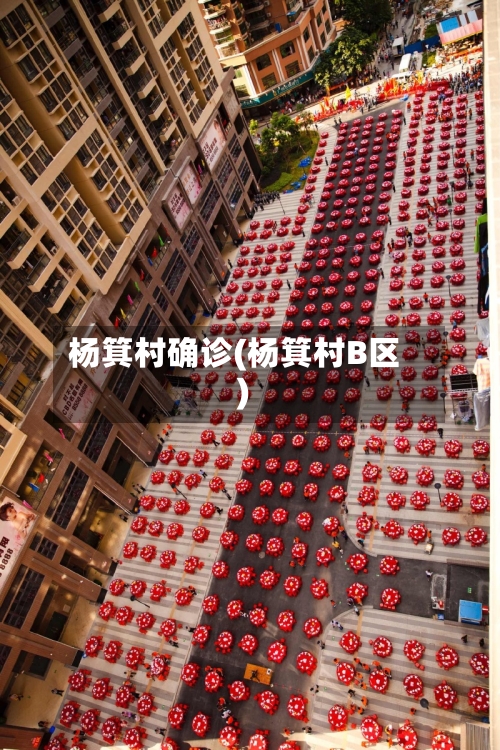杨箕村确诊(杨箕村B区)-第3张图片