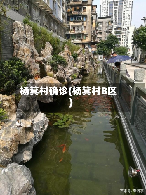 杨箕村确诊(杨箕村B区)-第2张图片