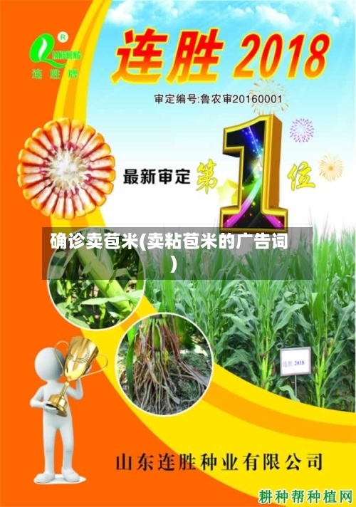 确诊卖苞米(卖粘苞米的广告词)