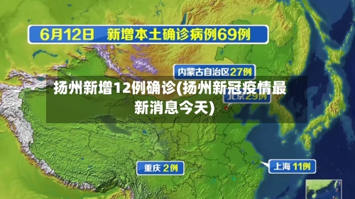 扬州新增12例确诊(扬州新冠疫情最新消息今天)-第2张图片