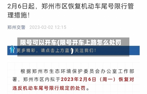 限号可以开车(限号开车上路怎么处罚)
