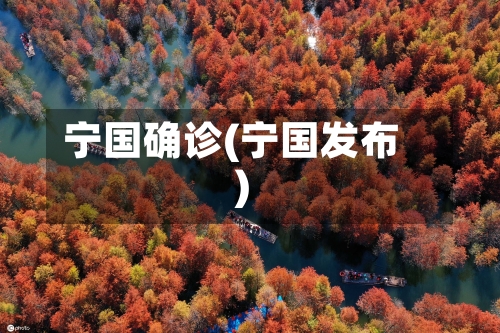 宁国确诊(宁国发布)-第2张图片