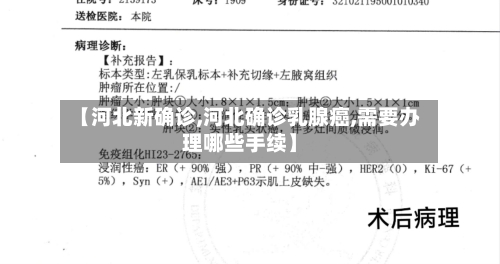 【河北新确诊,河北确诊乳腺癌,需要办理哪些手续】-第3张图片