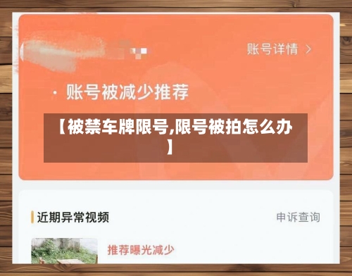 【被禁车牌限号,限号被拍怎么办】-第2张图片