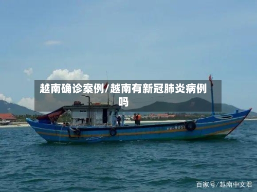 越南确诊案例/越南有新冠肺炎病例吗