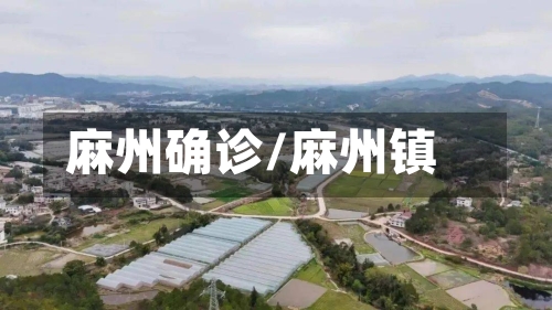 麻州确诊/麻州镇-第2张图片