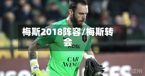 梅斯2018阵容/梅斯转会