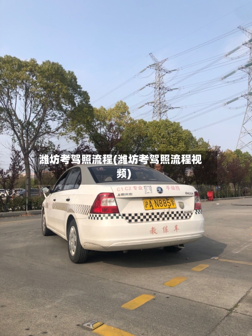 潍坊考驾照流程(潍坊考驾照流程视频)-第2张图片