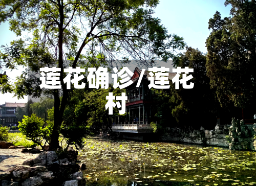 莲花确诊/莲花村