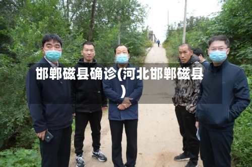邯郸磁县确诊(河北邯郸磁县)-第2张图片
