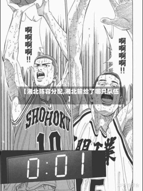 【湘北阵容分配,湘北输给了哪只队伍】