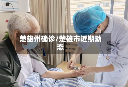 楚雄州确诊/楚雄市近期动态