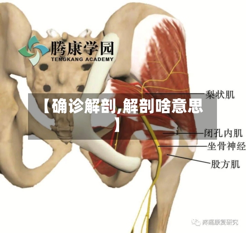 【确诊解剖,解剖啥意思】-第2张图片