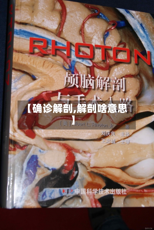 【确诊解剖,解剖啥意思】-第3张图片