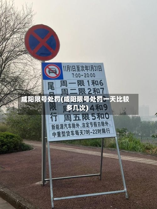 咸阳限号处罚(咸阳限号处罚一天比较多几次)