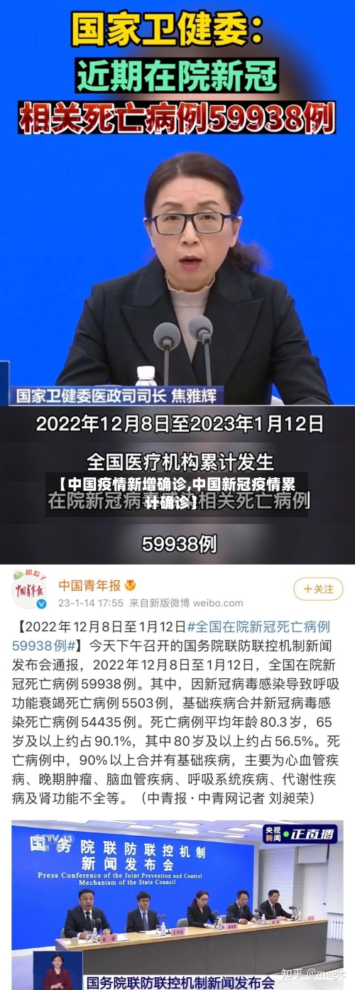 【中国疫情新增确诊,中国新冠疫情累计确诊】-第2张图片