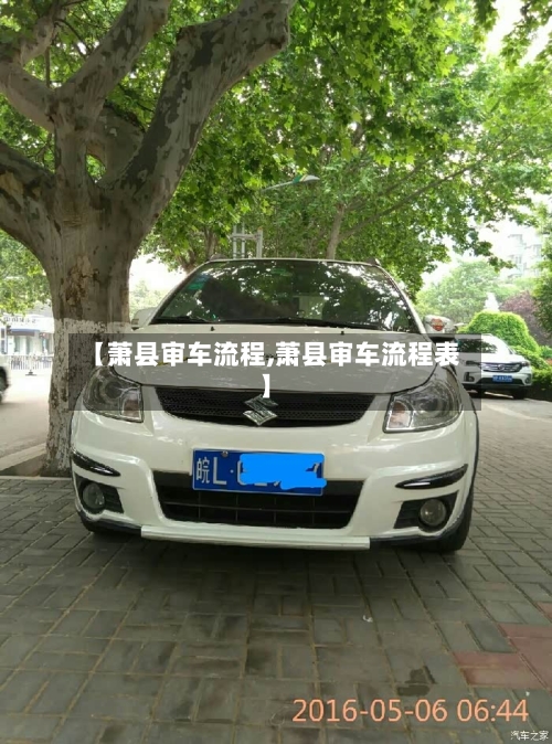 【萧县审车流程,萧县审车流程表】