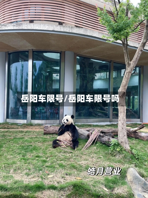 岳阳车限号/岳阳车限号吗-第3张图片