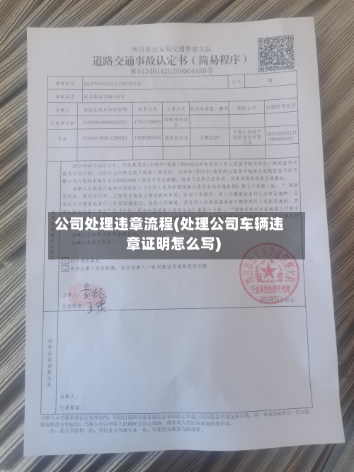 公司处理违章流程(处理公司车辆违章证明怎么写)-第3张图片
