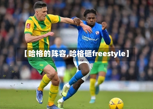 【哈格的阵容,哈格砸freestyle】-第3张图片