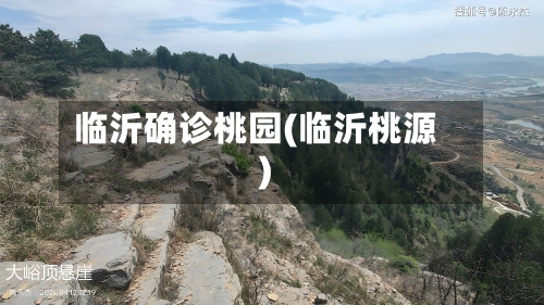 临沂确诊桃园(临沂桃源)-第2张图片