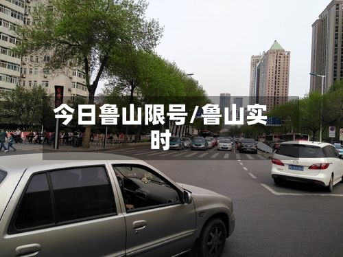 今日鲁山限号/鲁山实时-第3张图片