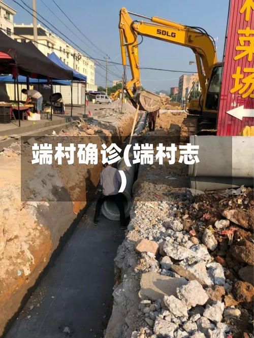 端村确诊(端村志)-第2张图片