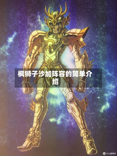枫狮子沙加阵容的简单介绍