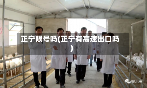 正宁限号吗(正宁有高速出口吗)