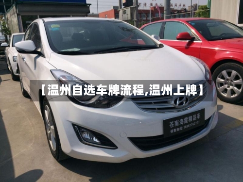【温州自选车牌流程,温州上牌】-第2张图片