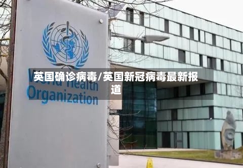 英国确诊病毒/英国新冠病毒最新报道-第2张图片
