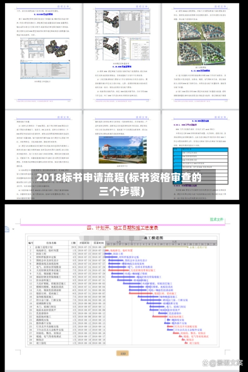 2018标书申请流程(标书资格审查的三个步骤)