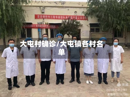 大屯村确诊/大屯镇各村名单