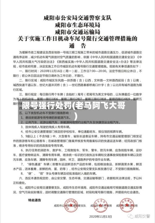 限号强行处罚(老马阿飞大哥)-第2张图片