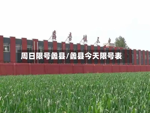 周日限号蠡县/蠡县今天限号表-第2张图片