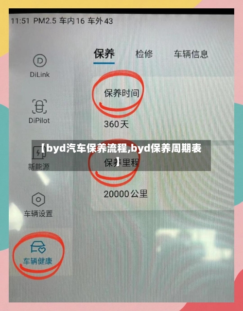 【byd汽车保养流程,byd保养周期表】-第2张图片