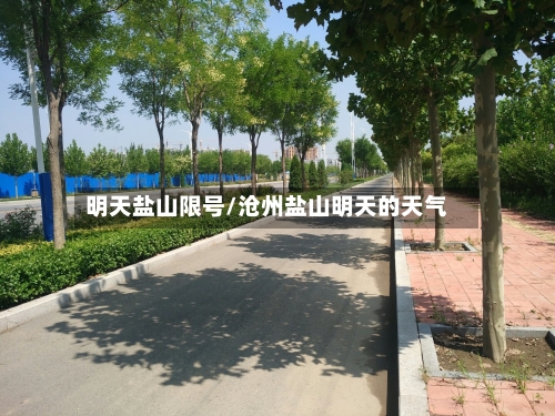 明天盐山限号/沧州盐山明天的天气