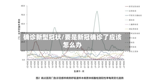 确诊新型冠状/要是新冠确诊了应该怎么办-第2张图片