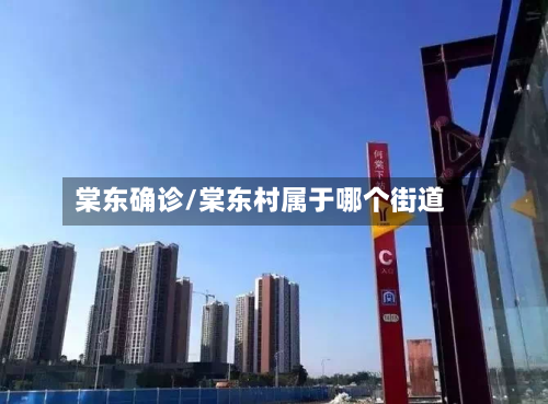 棠东确诊/棠东村属于哪个街道