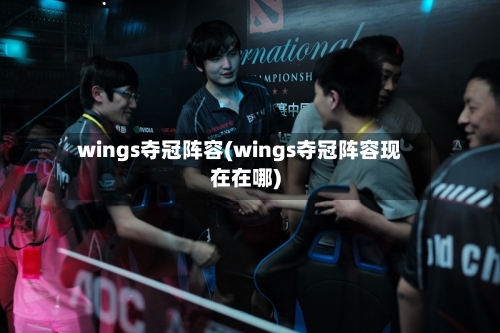 wings夺冠阵容(wings夺冠阵容现在在哪)