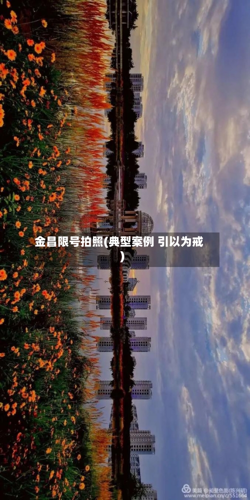 金昌限号拍照(典型案例 引以为戒)