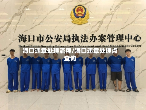 海口违章处理流程/海口违章处理点查询-第2张图片